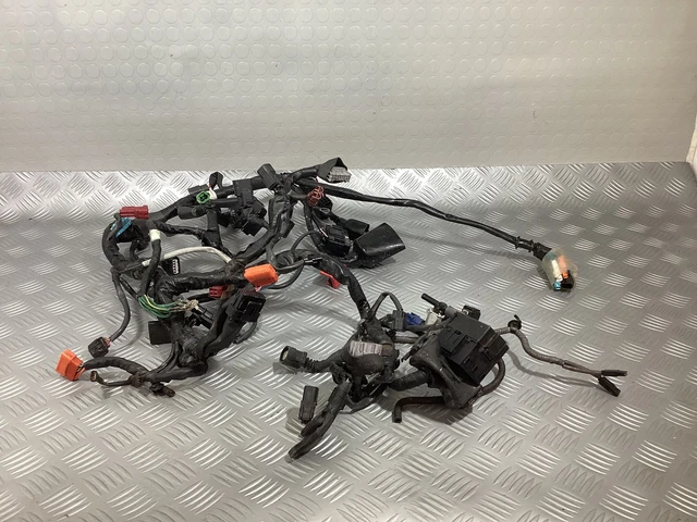 SYSTÈME ÉLECTRIQUE ABS Câblage Harness Honda Sh 300 ABS 11 14 EUR 105,27 - FR SYSTÈME ÉLECTRIQUE ABS Câblage Harness Honda Sh 300 ABS 11 14 EUR 105,27 - FR