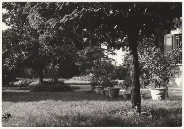San Lazzaro - Bologna - Veduta Del Giardino - Viagg. 1968 -98421-