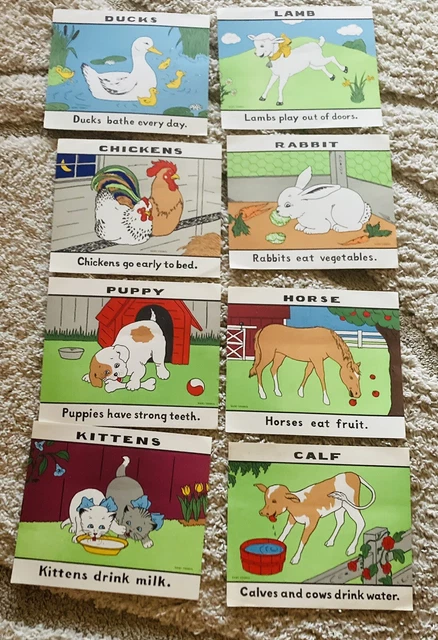 set 8 DAIRY COUNCIL COLOR ANIMAL PRINTS 8 1/2 X 10 FROM 50S teachers collection