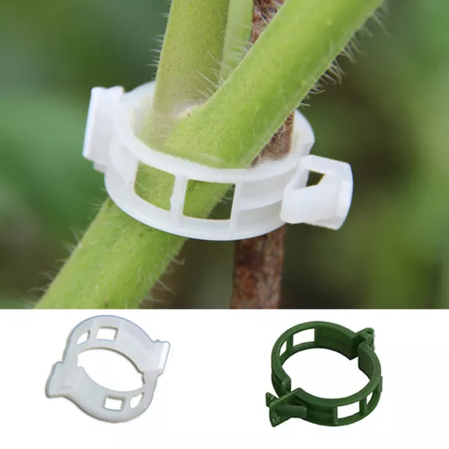 Nützlich Tomaten Vegetarisch Garten Pflanze Stütze Clips Spalier Zwirn Glasha ,