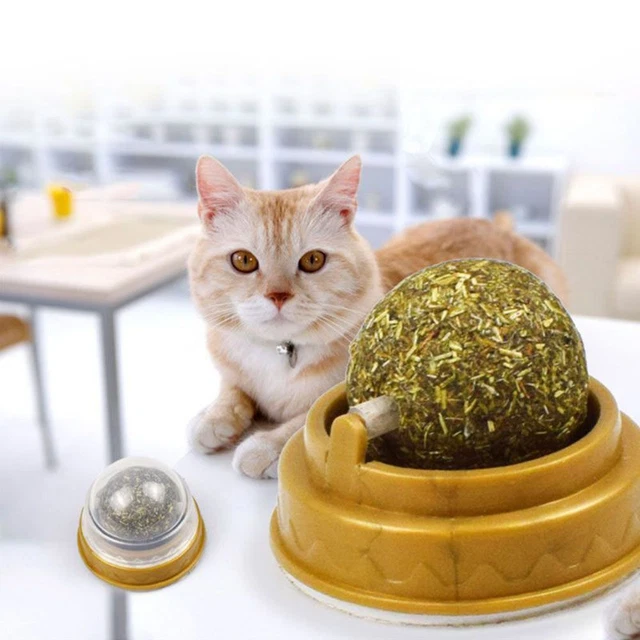 Bolas de hierba gatera interactivas giratorias giratorias giratorias para gatos como nuevas para limpieza dental