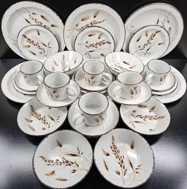(6) Midwinter Wild Oats Stonehenge 5 Pc Place Setting Floral Dishes England Lot