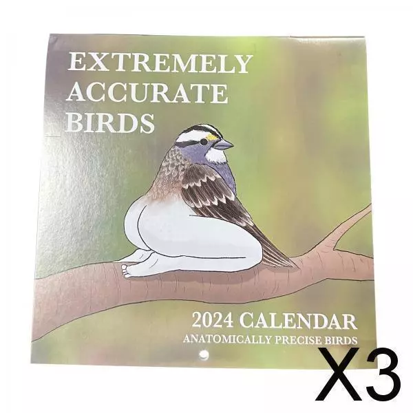 3X Lustiger Vogelkalender 2024, Notizseiten, Interessante Lustige Geschenke Für