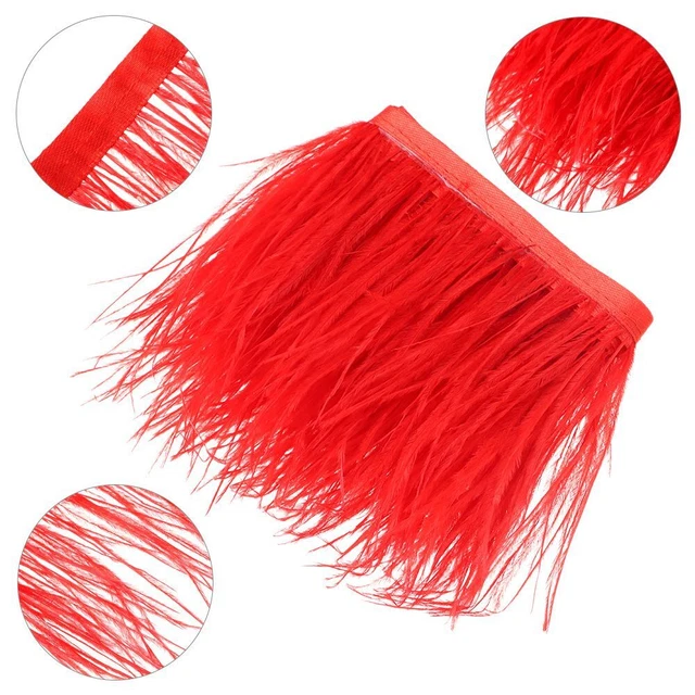 Decoración Plumas Cinta Selvage Plumas Resortes de Avestro Borde 8-10 CM Ancho 1 metro de Largo