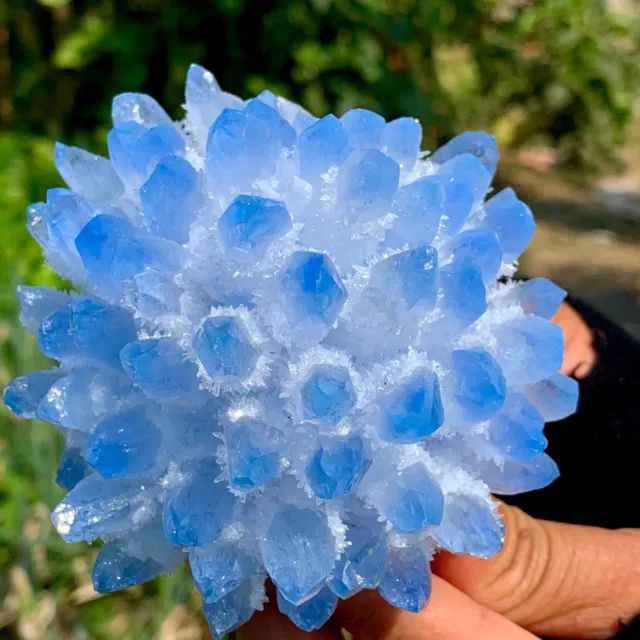 501g New Find sky blue Phantom Quartz Crystal Cluster Mineral Specimen Healing