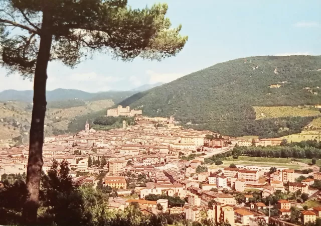 Cartolina - Spoleto ( Perugia ) - Panorama - 1960 ca.