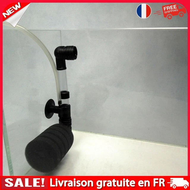 Tête seule : Albert MARQUE Taille 5