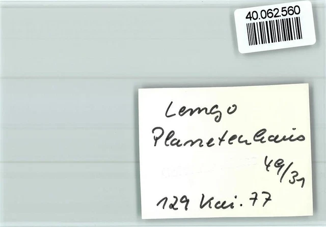 40062560 - 4920 Lemgo Planet House 2