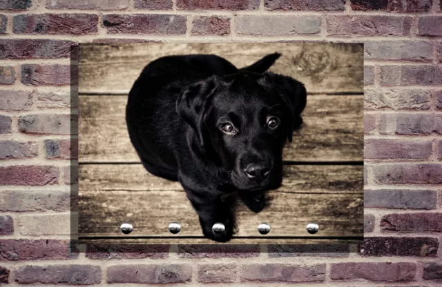 Hundegarderobe Hund Leinenhalter Garderobe Hundeleine Personalisier Hund