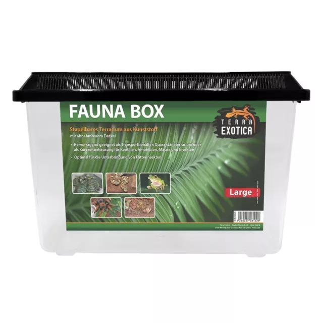 Terra Exotica Faunabox large, 37 x 22 x 24,5 cm, Transportbox Fauna Box