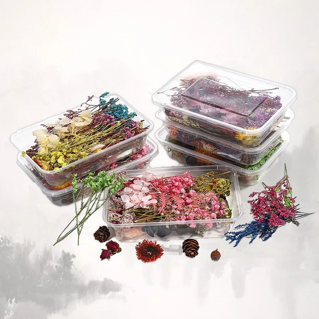 Caja de flores secas mixtas de belleza natural en el hogar para hacer velas hágalo usted mismo