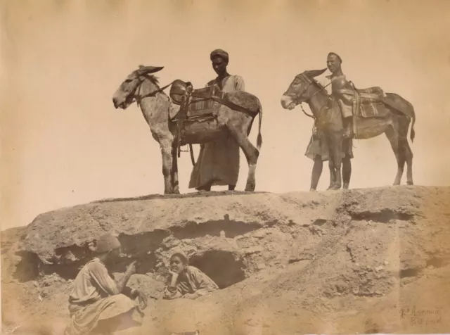 Egypte Port Saïd ânes albumine albumen Hippolyte Arnoux v. 1880 vintage photo