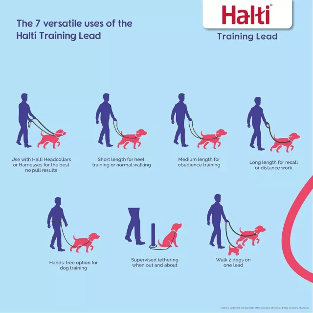 HALTI Training Lead Size Large Black, 2m, Professional Dog Lead to Stop Pulling 3