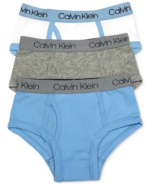 Calvin Klein BLUE BELL/HEATHER GREY Little & Big Boys 3-Pack Briefs, US Large
