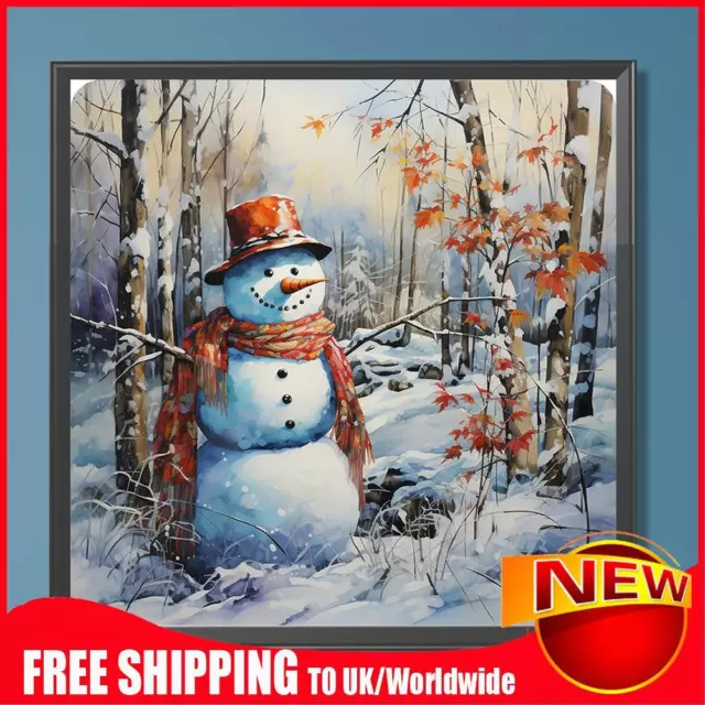 Paint By Numbers Kit DIY Oil Art Snowy Land Picture Home Wall Decor 40x40cm