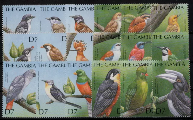 Gambia; Tropische Vögel 2000 kpl. **