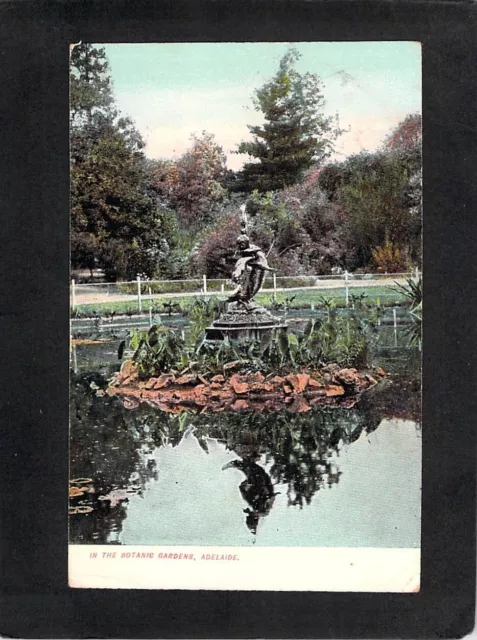 B3055 Australia SA Botanic Gardens Pond Adelaide pu1908 vintage postcard