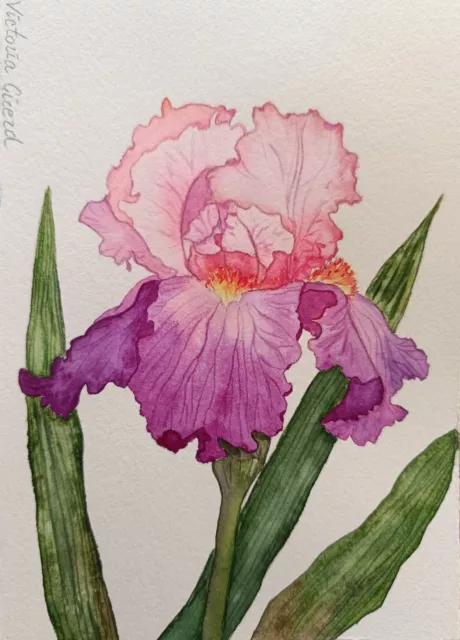 Iris à l'aquarelle, peinture originale à la main