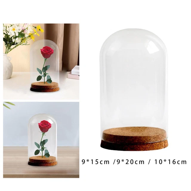 Cloche En Verre Avec Base Bois - 14x13cm Pour Fleurs éternelles Ou Décorations DIY