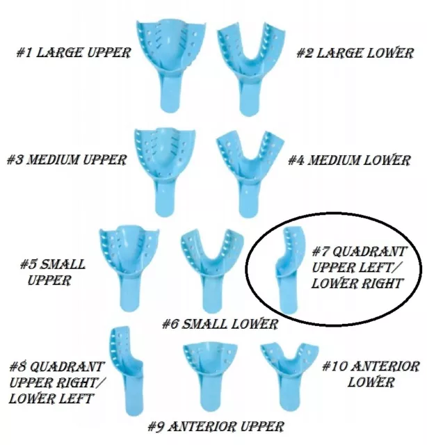 DEFEND Disposable Impression Tray IT-7007 #7 quadrant ul/lr Perforated 24pk blue