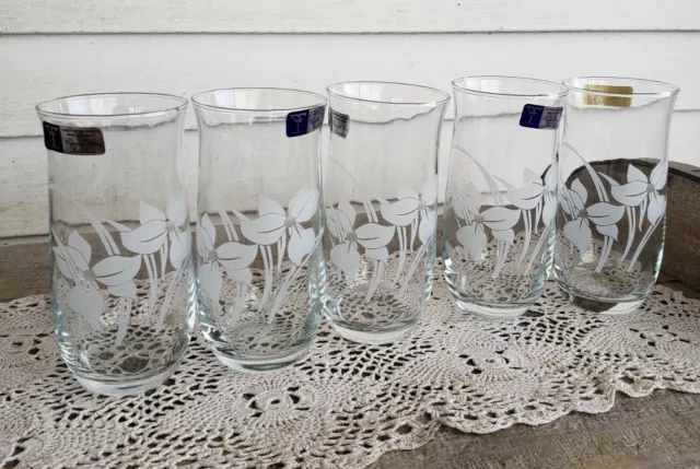 Set 5 Crystal Clear Industries Crystal Floral 16 oz Glasses Made In Turkey NWT 3