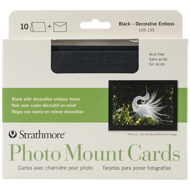 Tarjetas y sobres Strathmore 5""X6.875"" 10/paquete-negros con marco en relieve decorativo -1