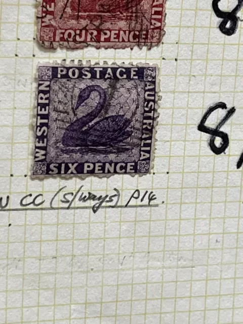 Western Australia Stamp  Used What 81