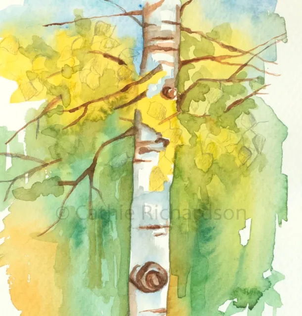 Aspen Tree Original Watercolor Painting White Birch Yellow Fall Leaves