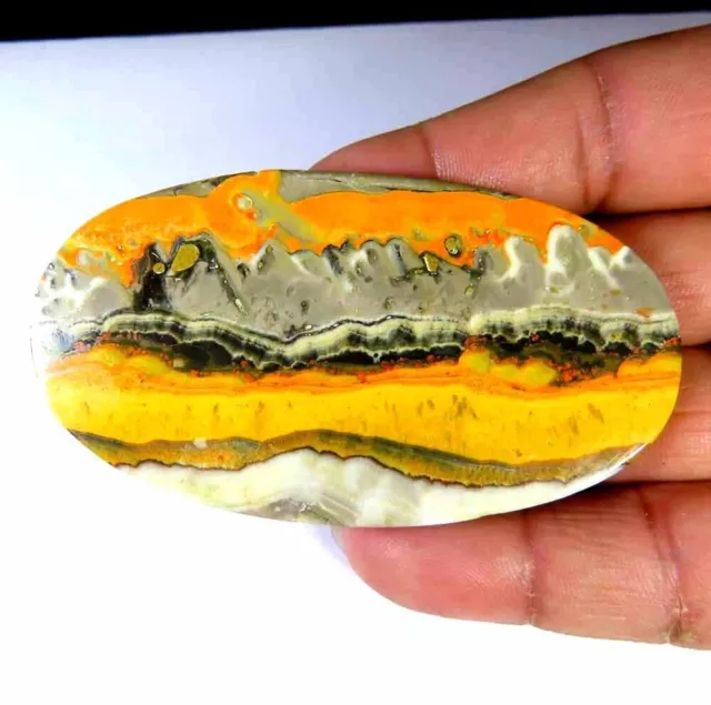 Large~166.70Cts.Natural Bumble Bee Eclipse Jasper Oval Cab 42x77x5mm Gemstone 3