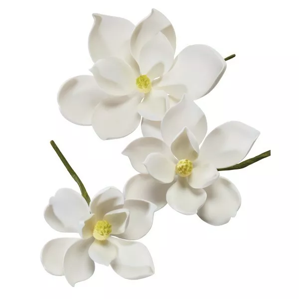 6 Individuales Magnolia Blanca Goma Gumpaste Flores Fondant Azúcar 6 Individuales Magnolia Blanca Goma Gumpaste Flores Fondant Azúcar