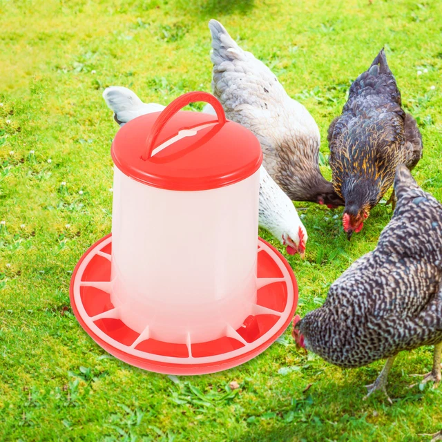 Mangeur de poussin mangeur de poulet suspendu avec une mangeoire de poulet