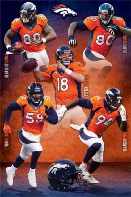 Denver Broncos NFL Team 2014 Rolled Sports Poster Print 22" x 34"