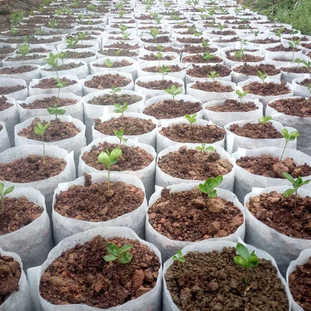 100pcs Biodegradable Nursery Plant Grow Bag Nonwoven Seedling Planter Grow Pouch 7