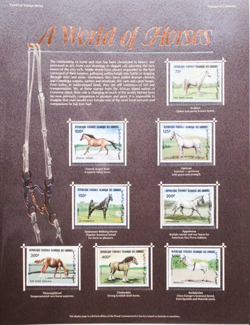 World Stamp Collection ALL Mint NH in Giant Book