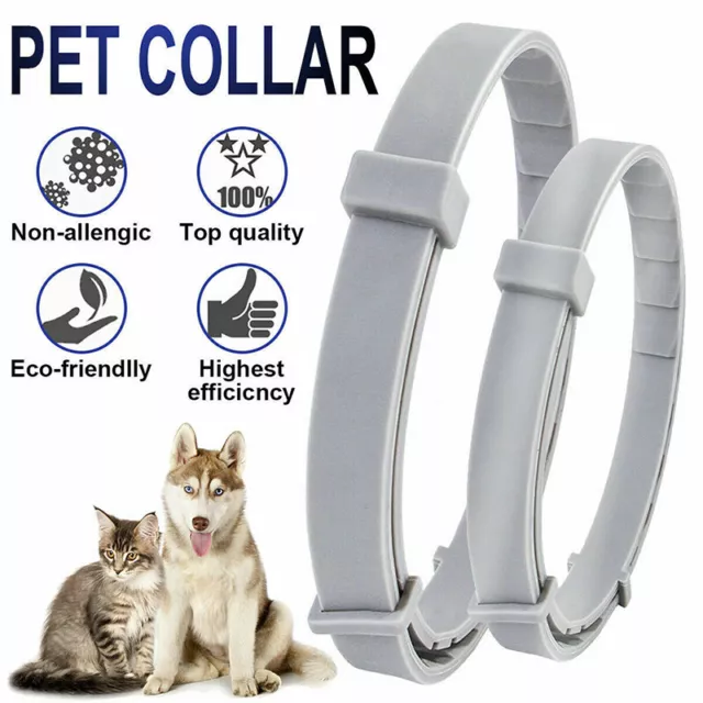 Adjustable Pet Anti Flea Tick Neck Collar for Dog Cat Kitten 8 MontSE