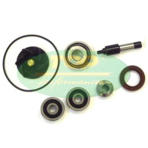 Aa00828 Kit Revisione Pompa Acqua H2O Piaggio Mp3 300 Ie Mic 2011-2011