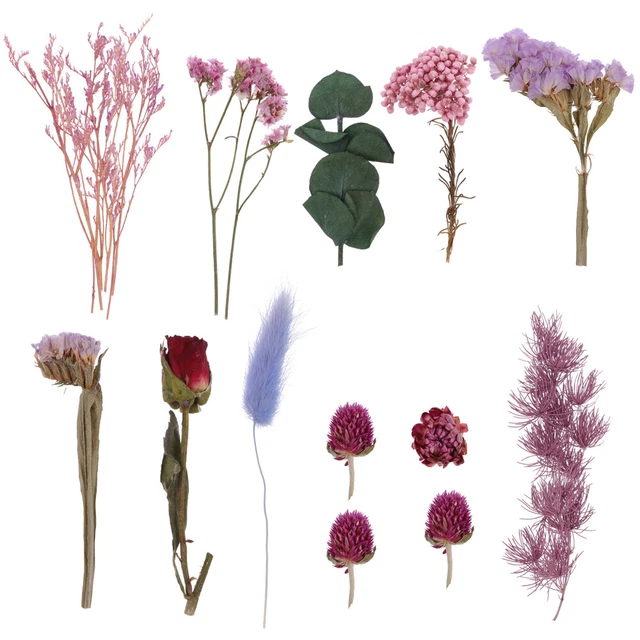 Fiori Secchi Fai Te Veri Pressati Materiale Kit Per Unghie
