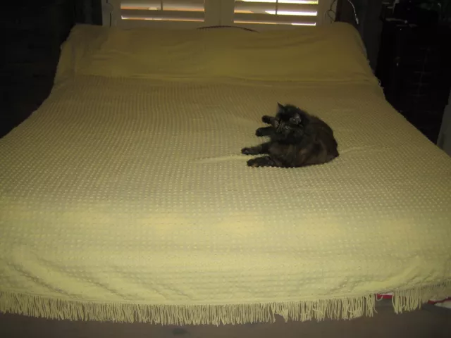 Vtg Morgan Jones Bedspread Popcorn Chenille  BUTTER Yellow 3” Fringe 92 X 106