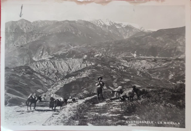 1950-51 cartolina Bologna FC (a Genova 10 dicembre 1950) - photo 61