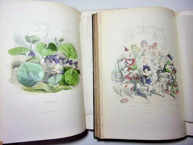 Grandville. Les fleurs animées. 2/2 vols. 1867. 50 Planches coloriées