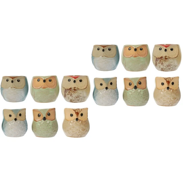 12 Pcs Blumentöpfe Tiny Porzellan Pflanzer Eule Sukkulenten Töpfe