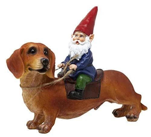 Garden Gnome Statue- Indoor/Outdoor Garden Gnome Gnome and a Dachshund