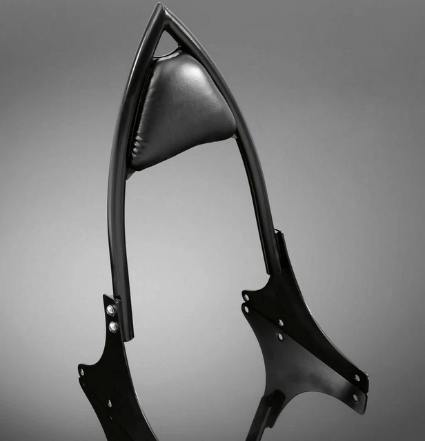 Porte-bagages Sissy Bar Pour Harley Sportster XL 04-17, Dyna, Softail - Argent