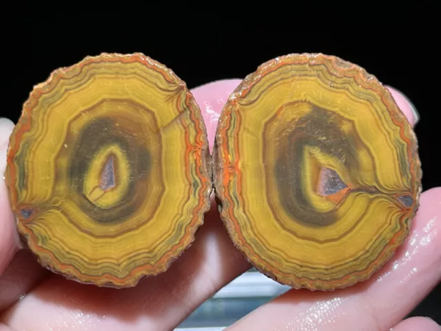 A Pair Rough Agate / Achat Nodule Chinese Fighting Blood Agate Xuanhua 47G Y84