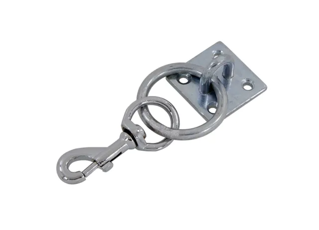 Shires Snap Hook on Wall Plate also for Dog Tie Out tethering or other animals