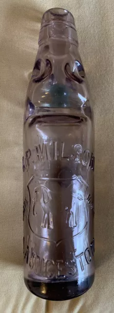 Rare Purple G. P. Milsom Launceston Codd Bottle / Ginger Beer