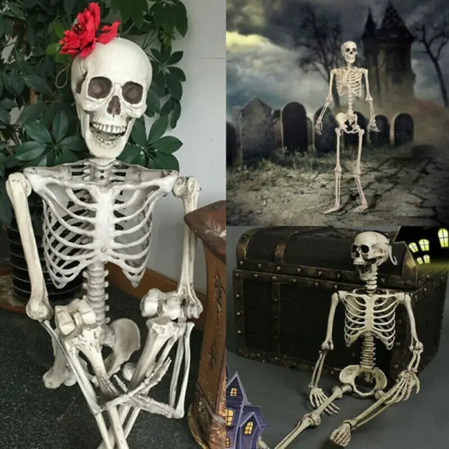 Oversized Poseable Full Life Size Human Skeleton Decoration Party Prop Halloween