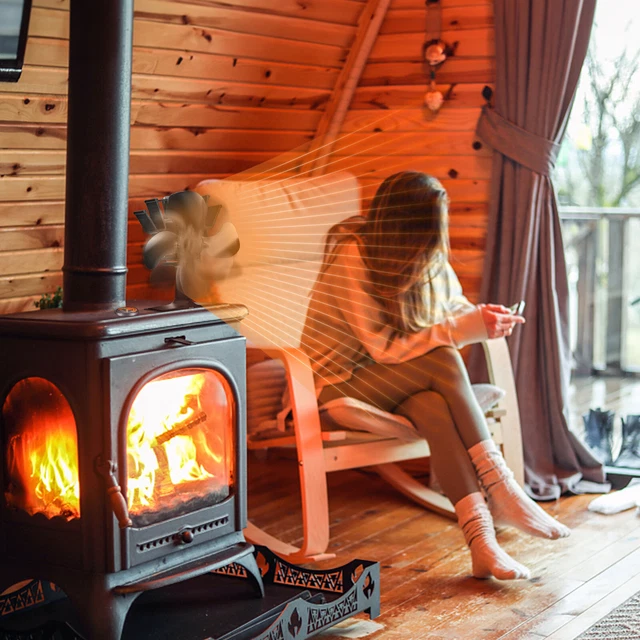 Ventilatore Radiale 220V Xinlie - Soffiatore Per Stufa A Legna, Barbecue E Camini Con Controller - Foto 2