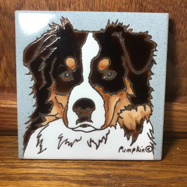 Australian Shepherd Dog - Hand Painted tile by Pumpkin Tile - 6 x 6" - D9RTRI