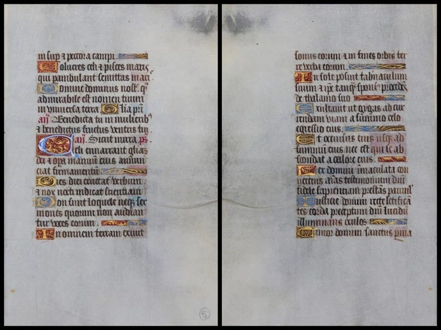 Illuminierte Grafia Su Pergamena Foglia Di Uno Miniatura Um 1500 (118)